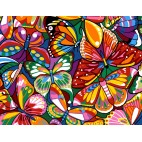 Colored  Butterflies
