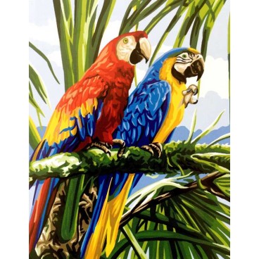 Les Macaws