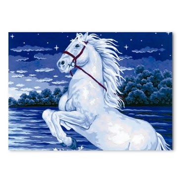 Cavall blanc